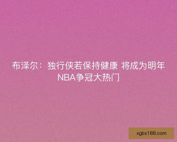 布泽尔：独行侠若保持健康 将成为明年NBA争冠大热门